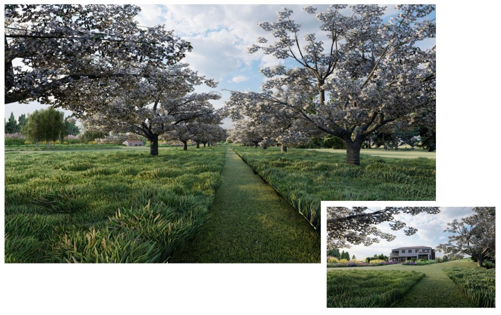 © copyright Joel Davey Garden Design Ltd. 2020